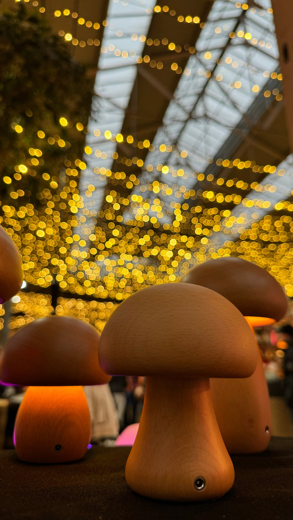 Wood Mushroom Night Light